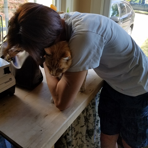 Meet your Posher, Ken - Picture 2 of 2